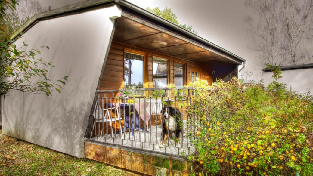 Bungalow Bungalow