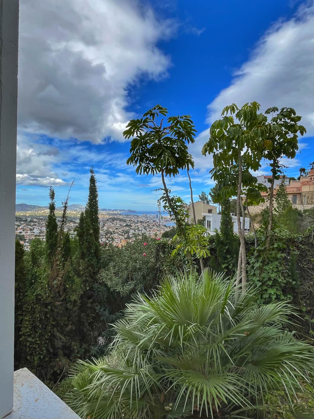 View from the kitchen