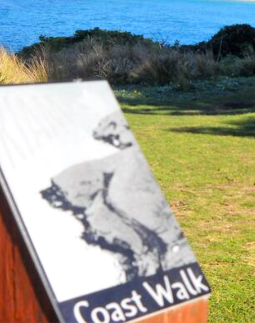 The Coastal Walk Explore Kiama