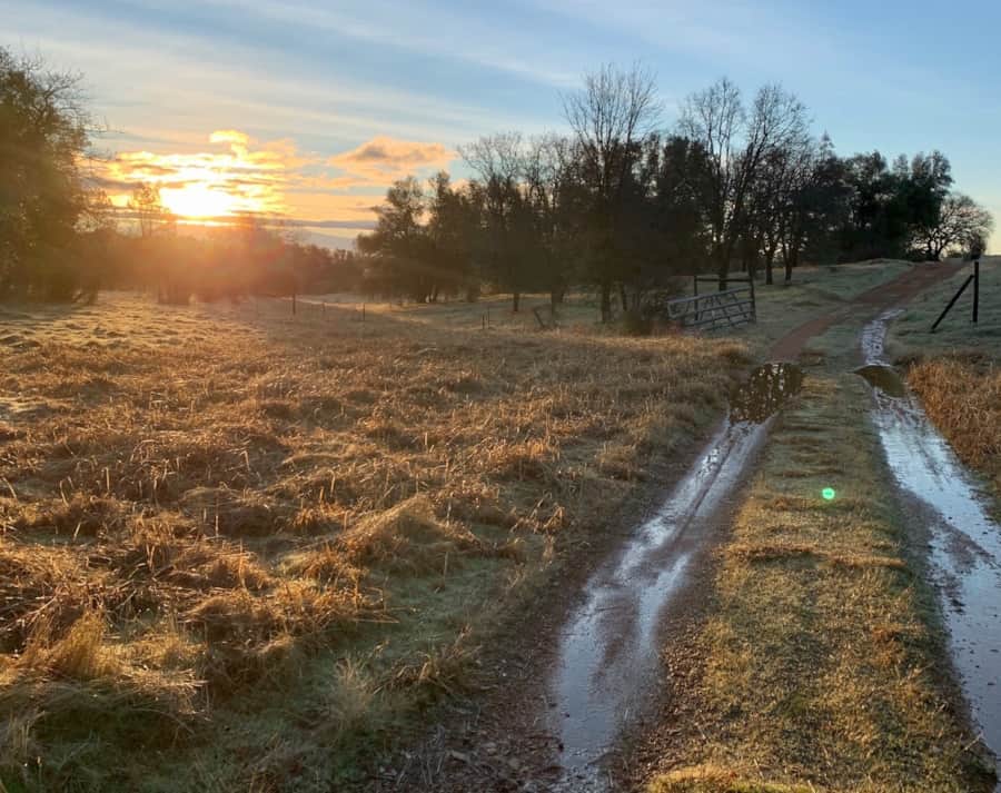Walking Trails
