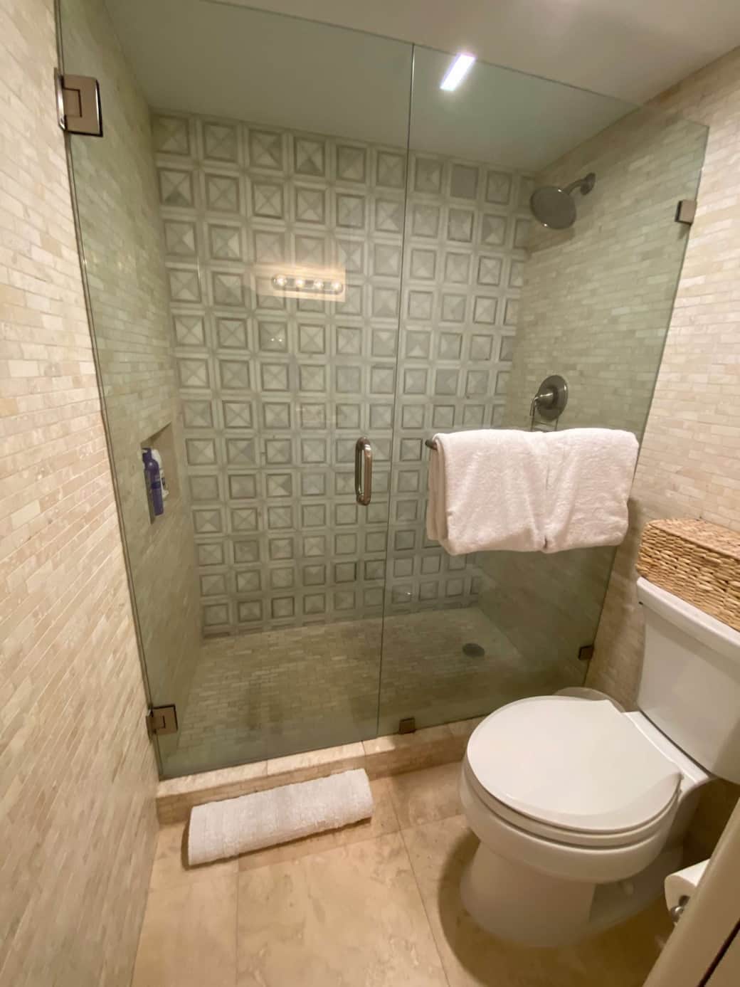 Master Bath Shower