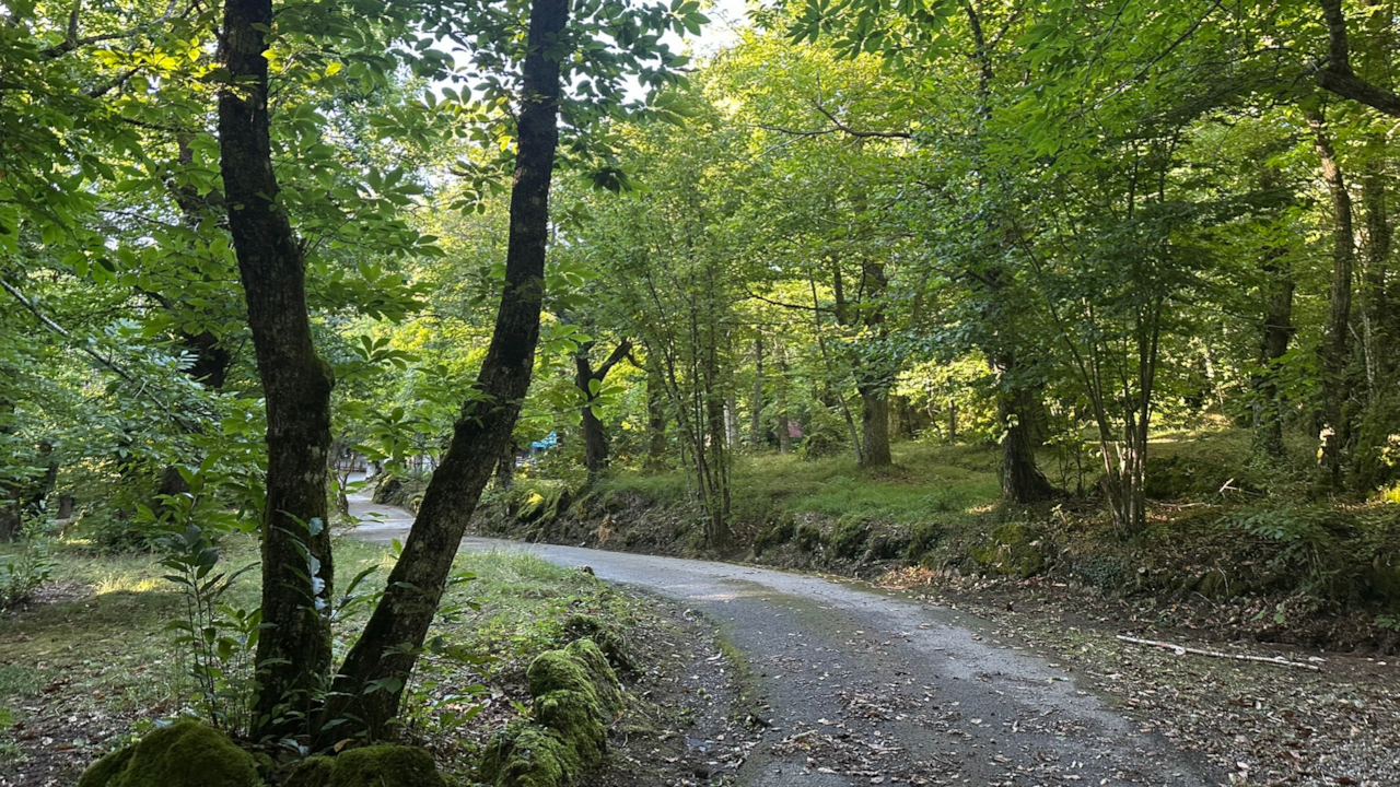 strada per il campo sportivo