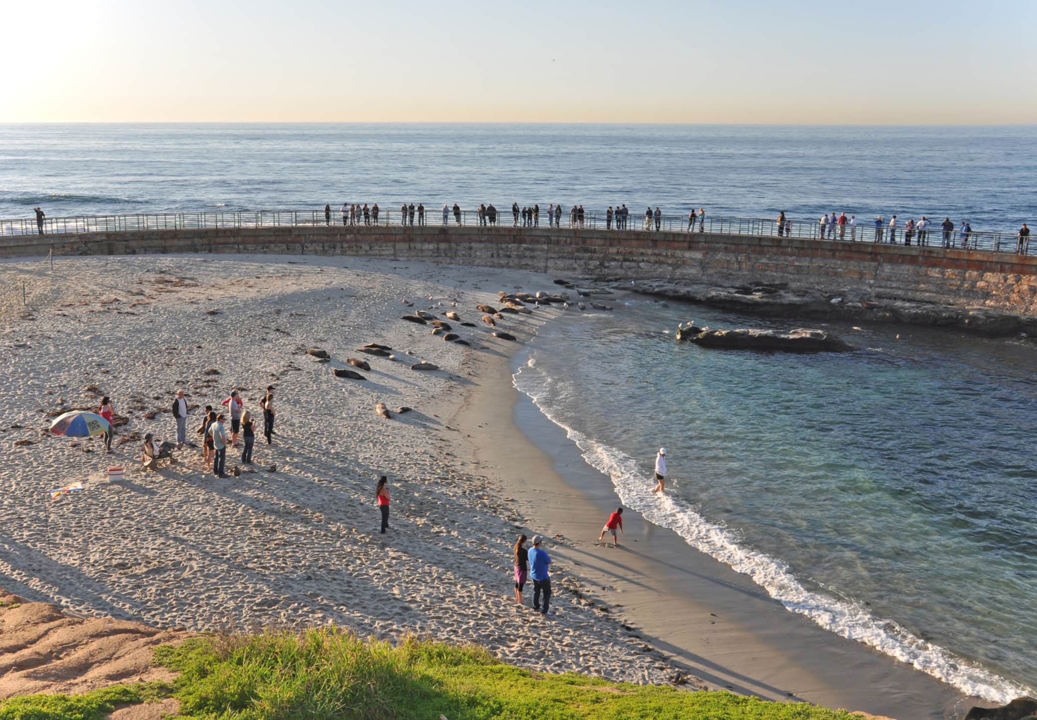 https://l.icdbcdn.com/oh/33dfe814-75c2-40c5-8bf8-818f6080f5f1.jpg?w=2080-1