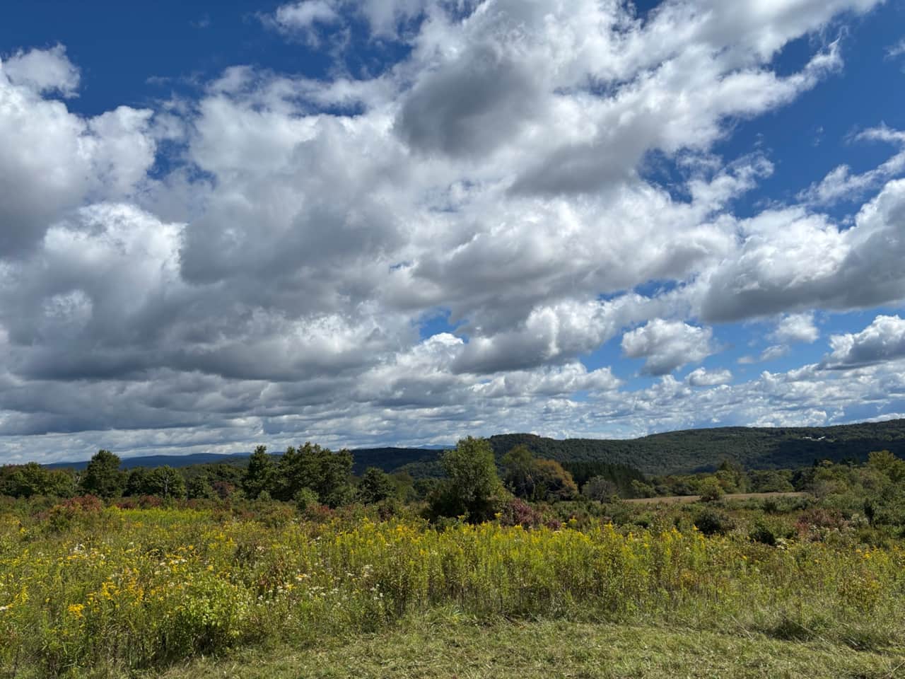 Catskills Mountain Views