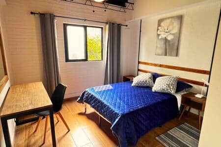 Room 8: Cozy room featuring a comfortable bed, desk, and bright windows for a relaxing stay.