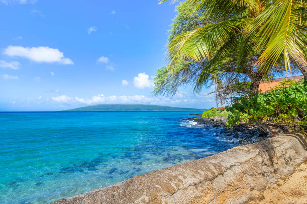 Seawall and Molokai View