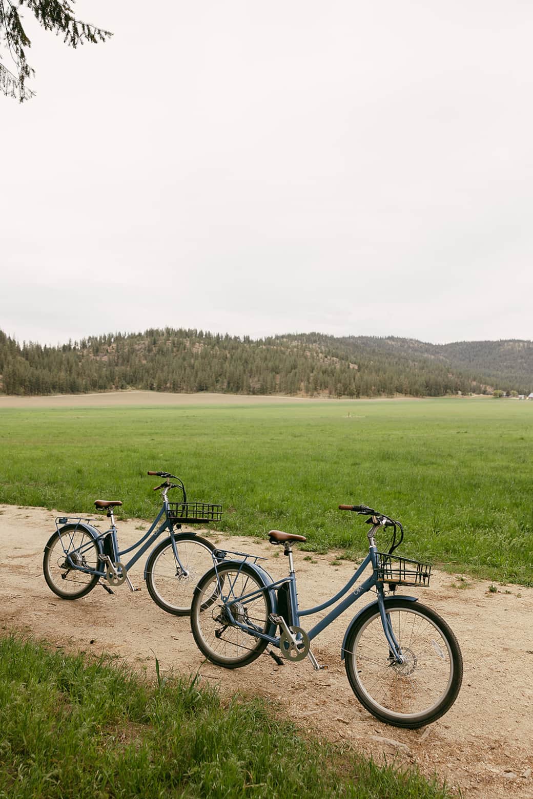 Ebikes