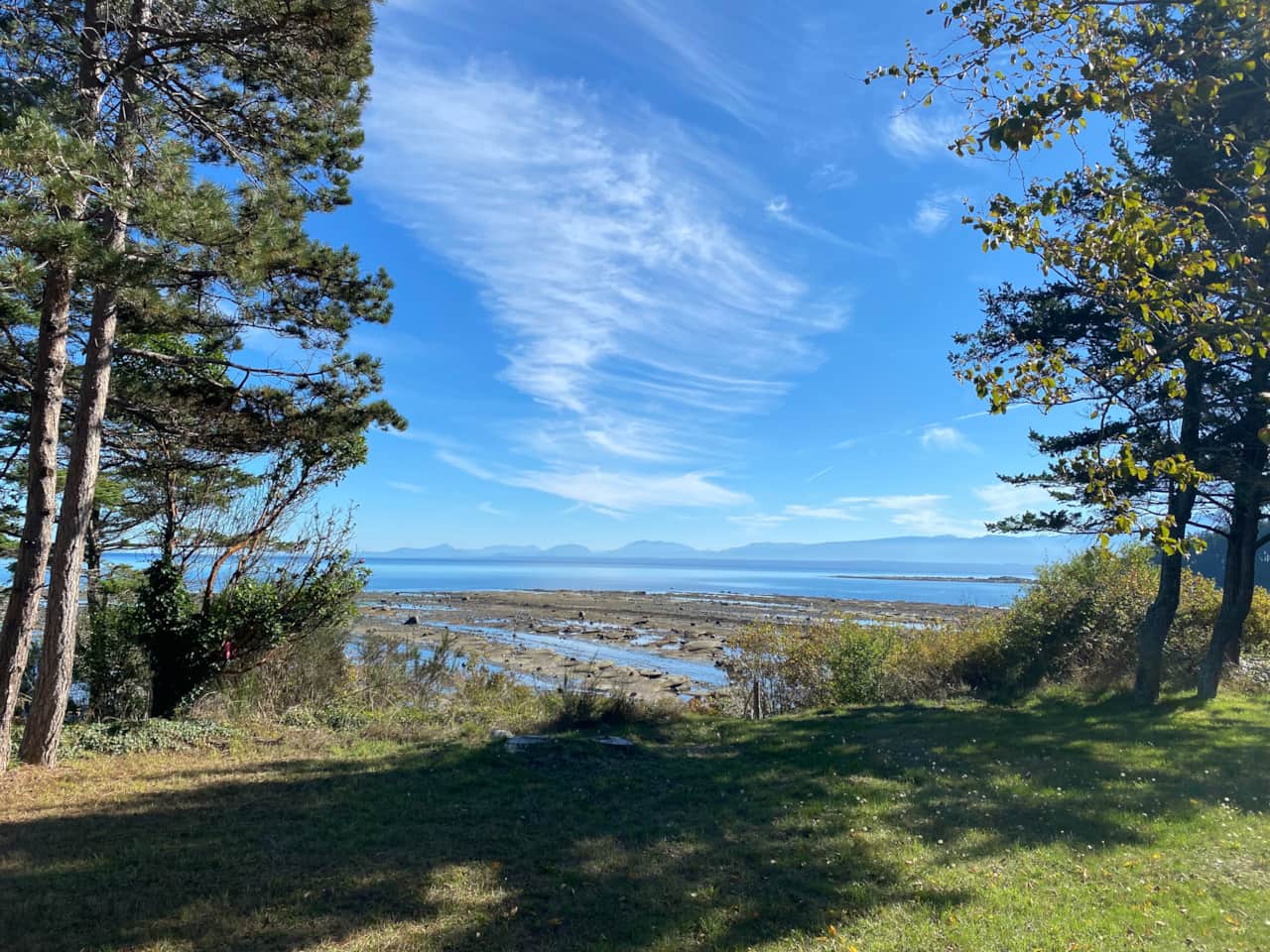 Sandpiper beach