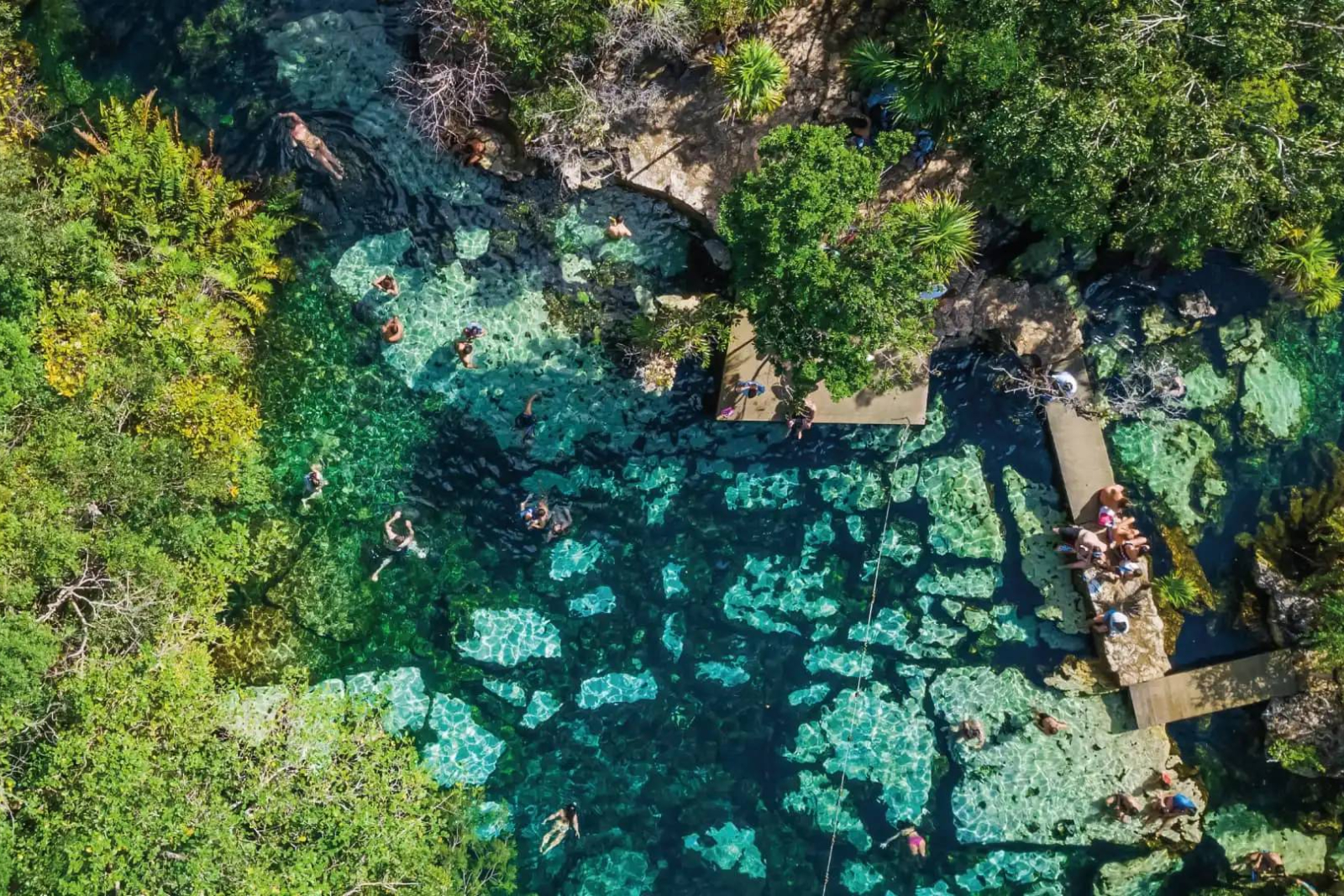 Explore nearby cenotes and discover the crystal-clear natural wonders that make Akumal unforgettable