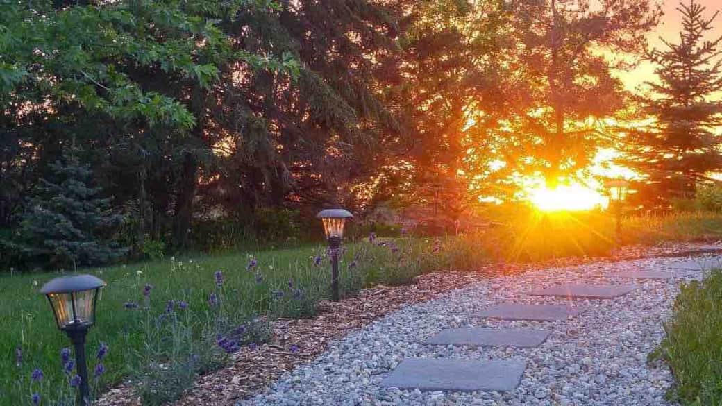 Pathway to the house
