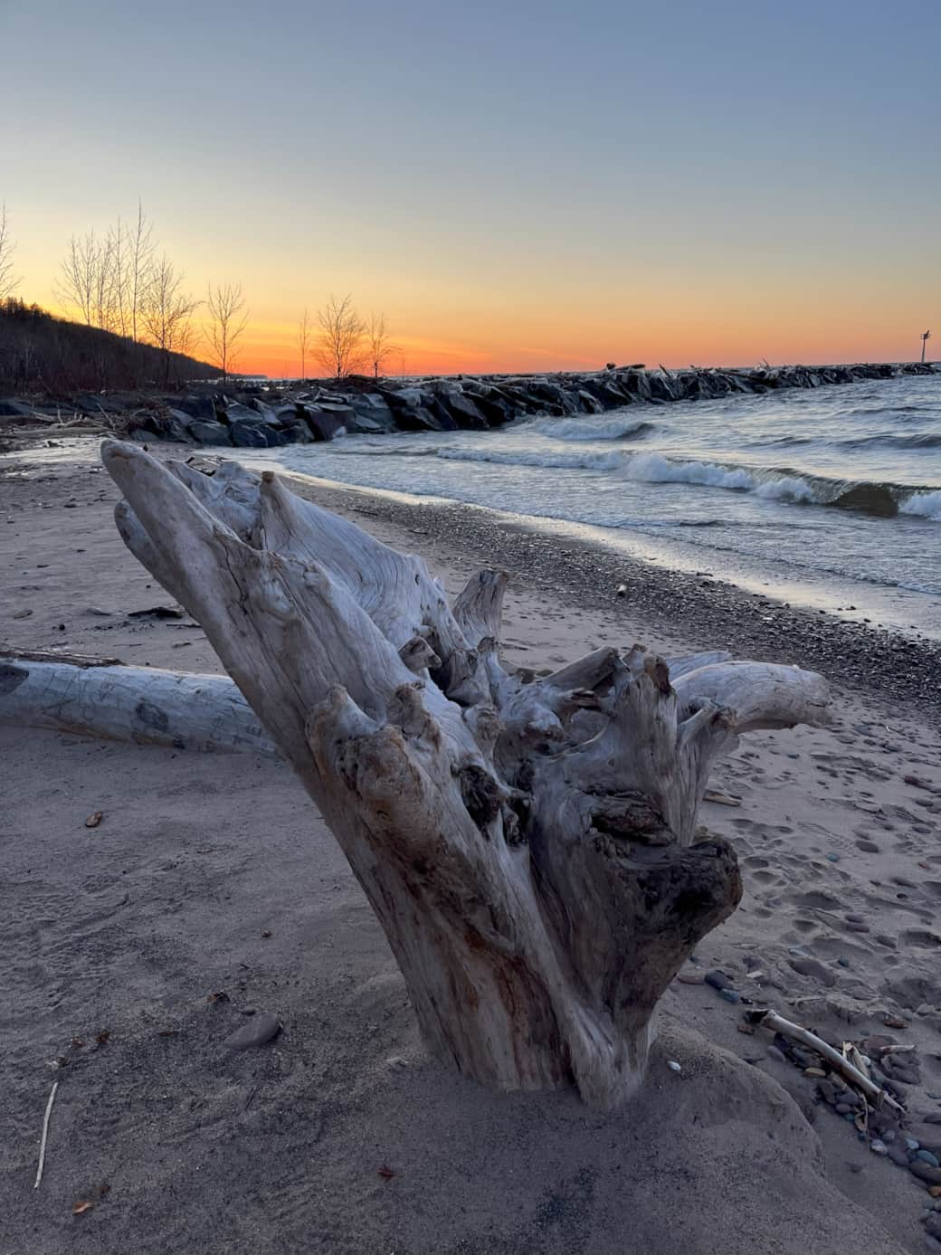 Cool drift wood at black river harbor