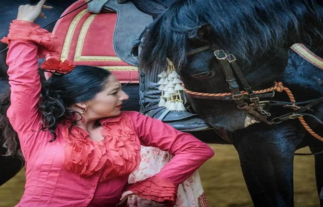 Old Jerez Horse Fair