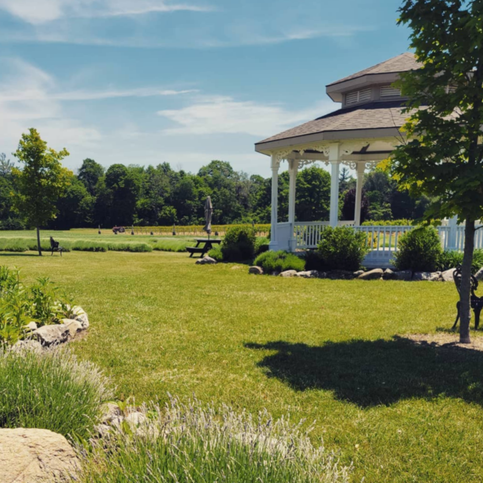 Bonnieheath Estate Lavender & Winery Bed and Breakfast