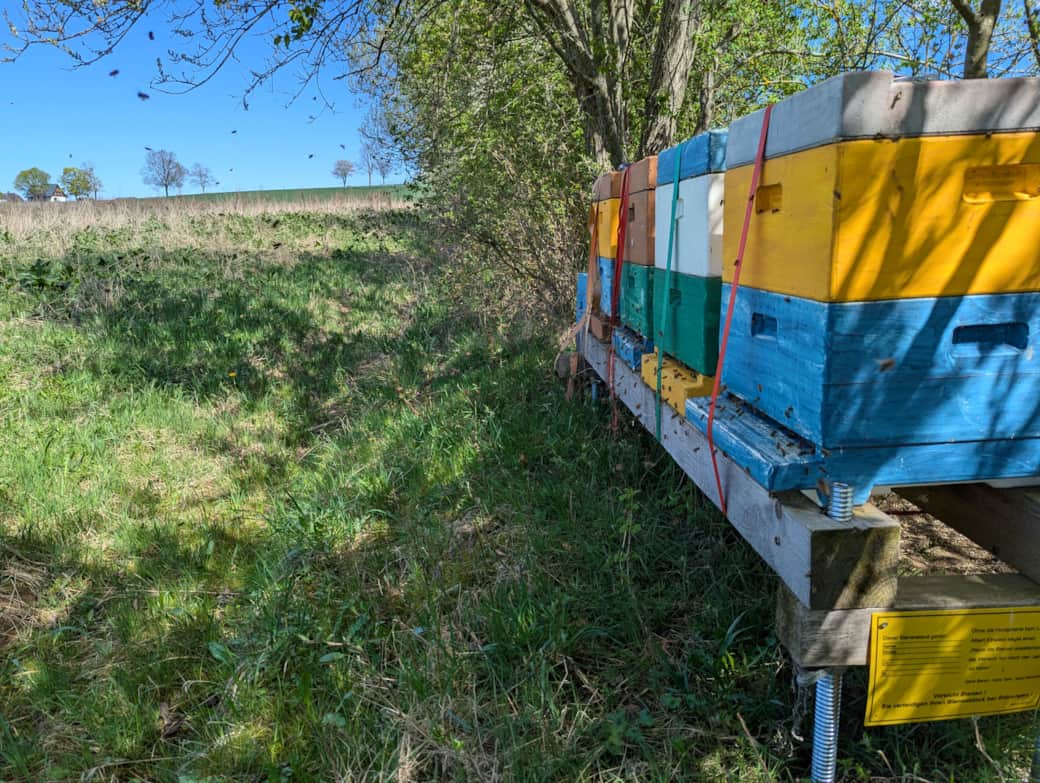Bienenstöcke im Erzgebirge