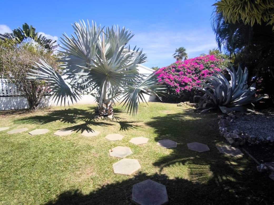 Villa Cazabelle Guadeloupe Jardin Villa Cazabelle Guadeloupe Jardin