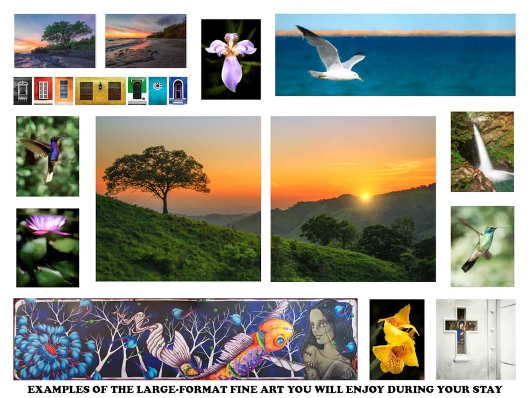 Examples of the art you will enjoy here