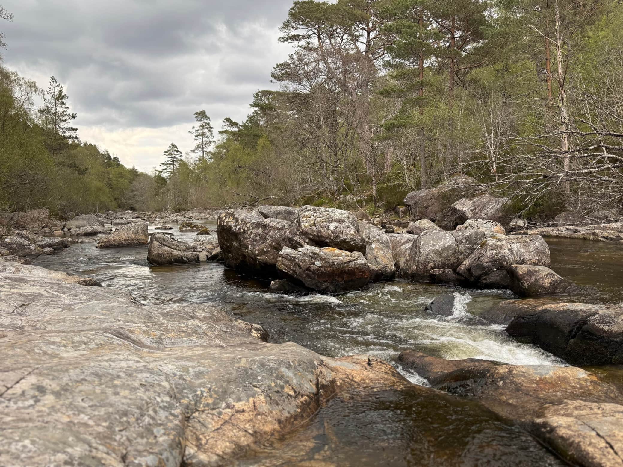 Affric