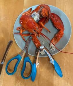 Cozy Baie Chalet has cooking and serving utensils to ensure you have a great seafood experience.