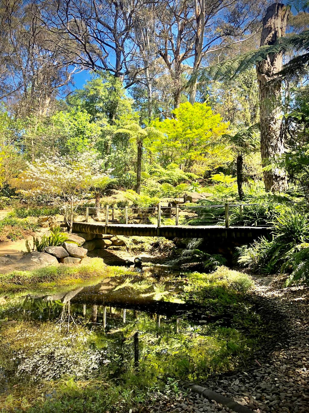 Wildwood Garden, Bilpin