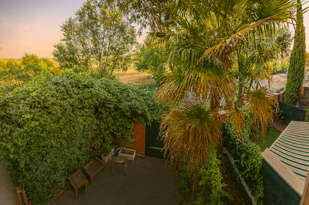 View from the window. This is the view from your bedroom window.