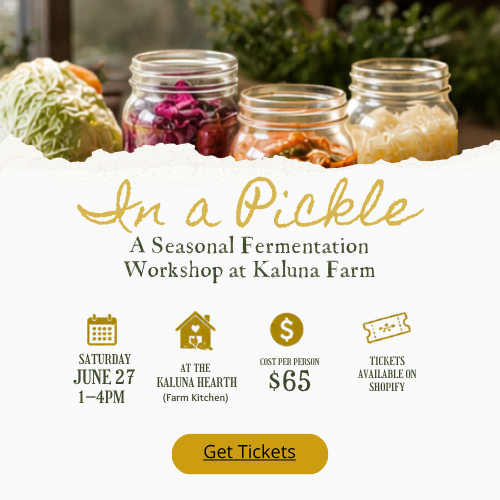 In a Pickle: A Seasonal Fermentation Workshop at Kaluna