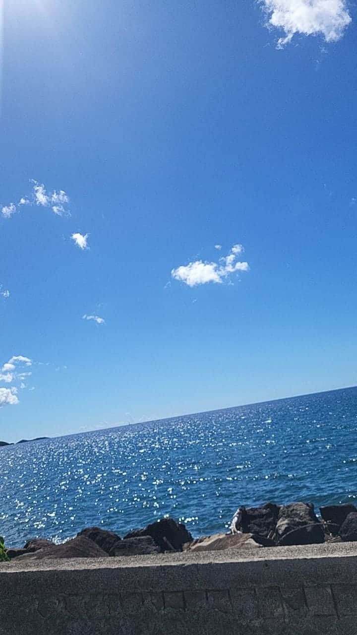 IMG 20241214 WA0017