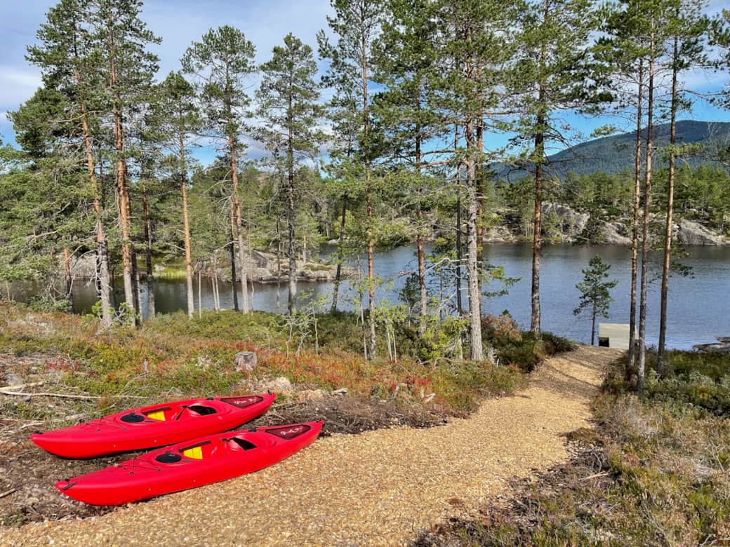 Image Title