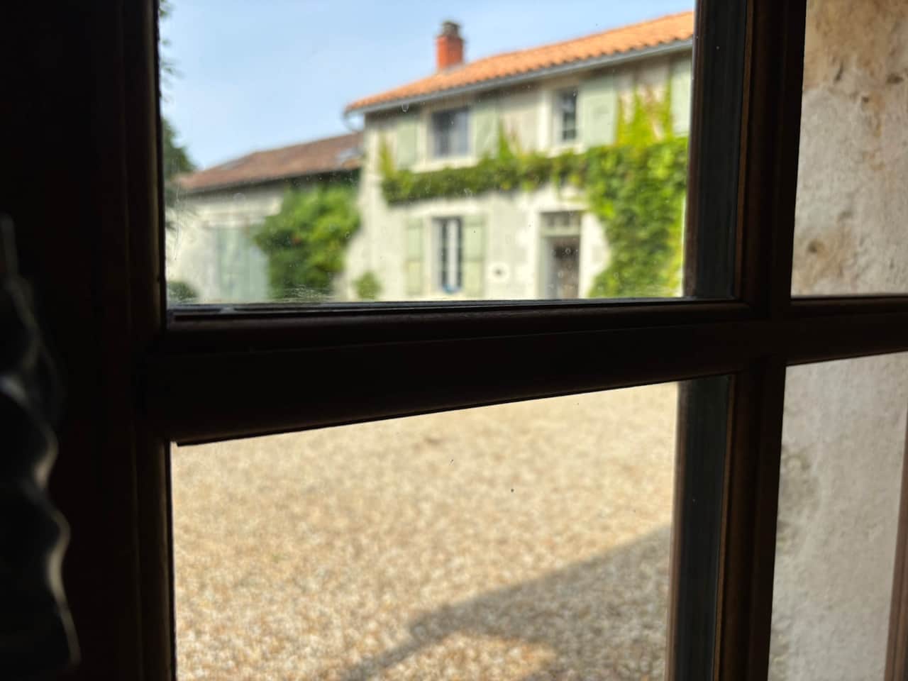 IMG_3099.JPEG