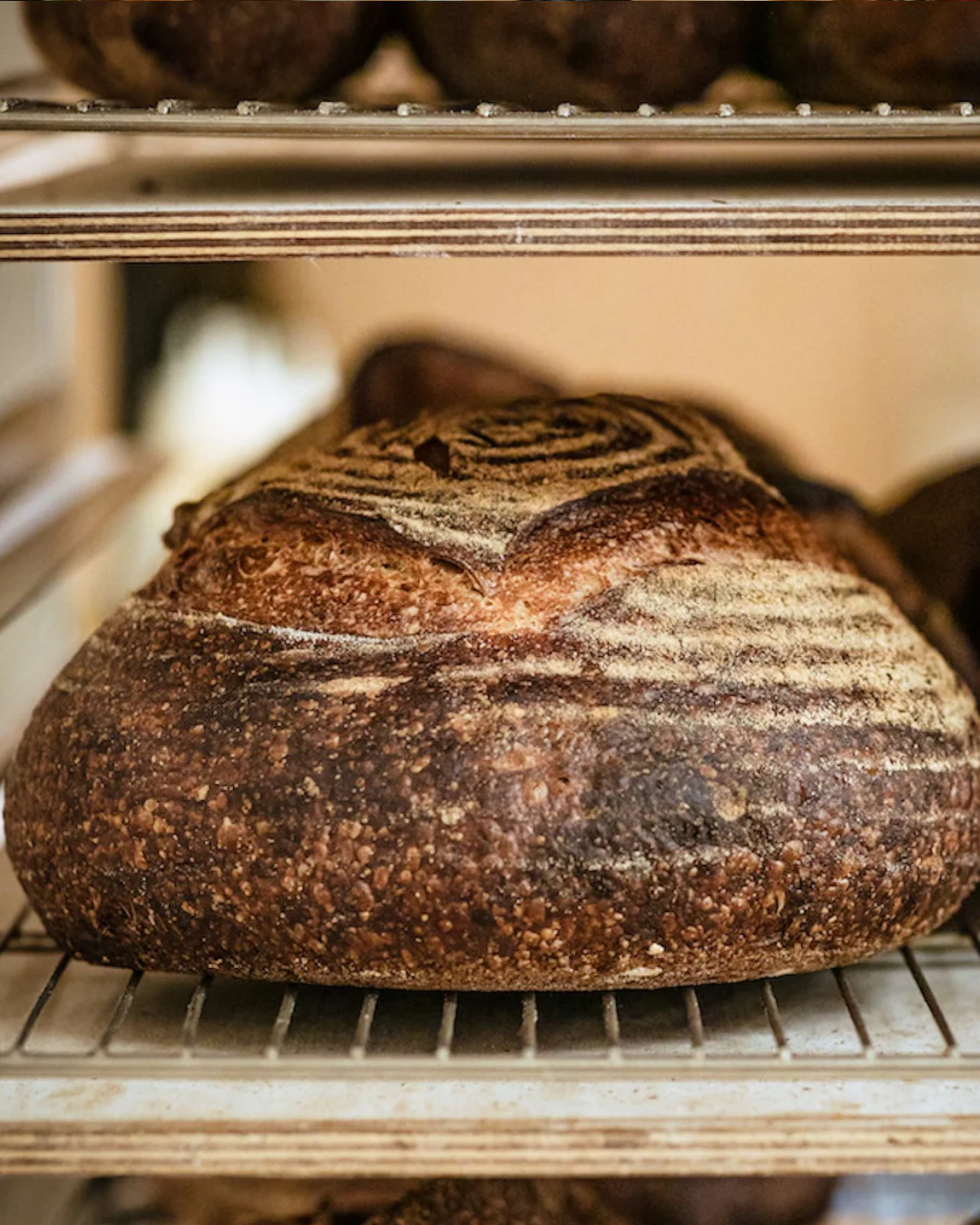 Ancient grain sourdough loaf from Red Hen Artisanal Bakery