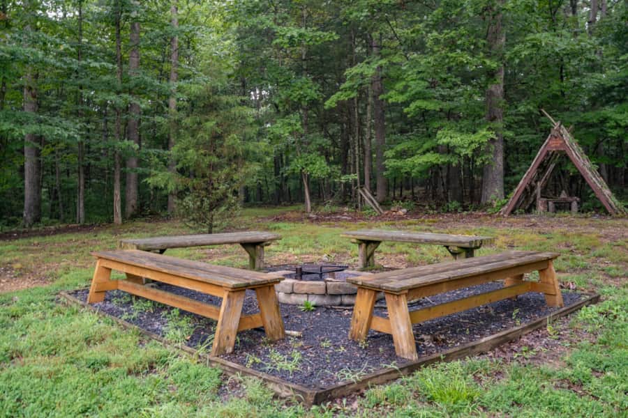 Fire pit with log benches