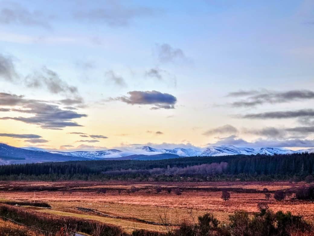 Cairngorm View Winter