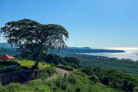 0567fb33 58bb 4ef0 a3ee 02fe9af314c2 0567fb33 58bb 4ef0 a3ee 02fe9af314c2