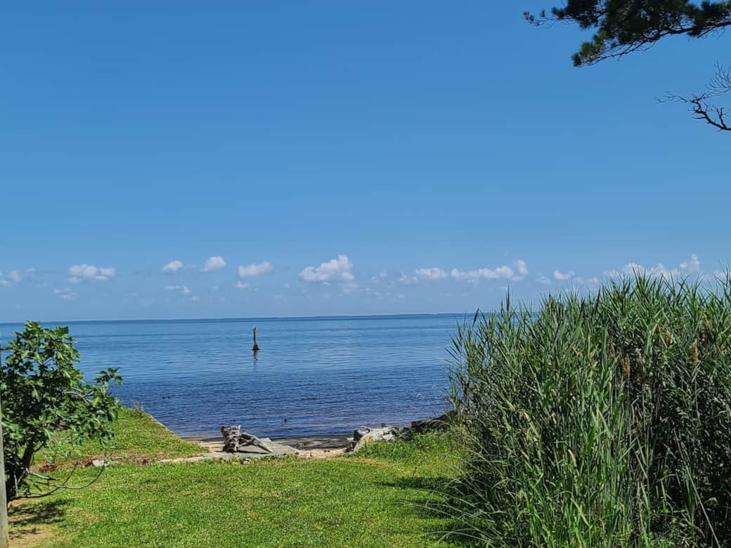 View of the Albemarle Sound from the back porch. 