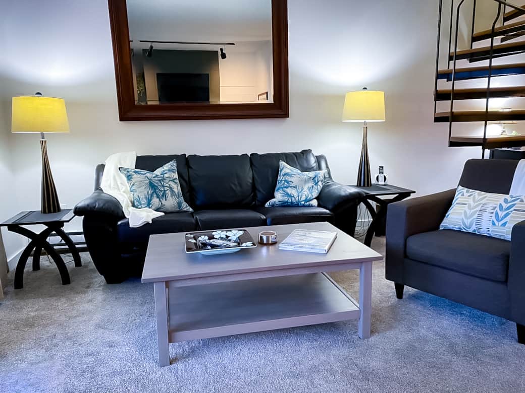 Living Room Area