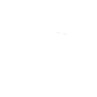 Zanzigo