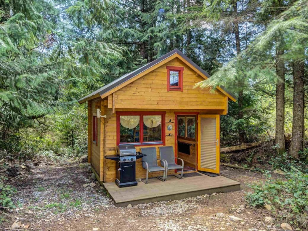 The Peacock cabin is nestled in the woods. The front deck features a barbecue and two comfy chairs. The Peacock cabin is nestled in the woods. The front deck features a barbecue and two comfy chairs.