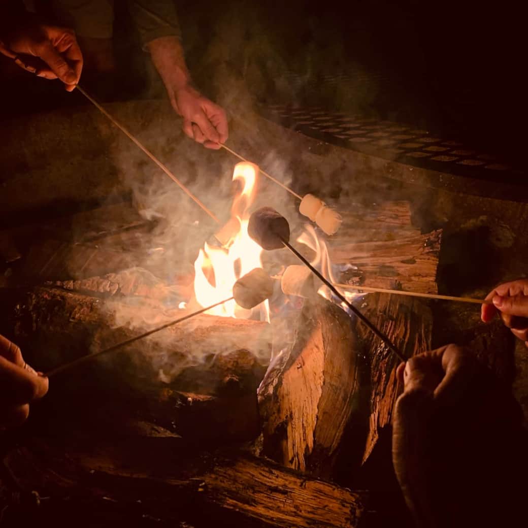 Roast Marshmellows