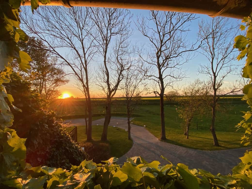 S O N N E N~1 S O N N E N~1