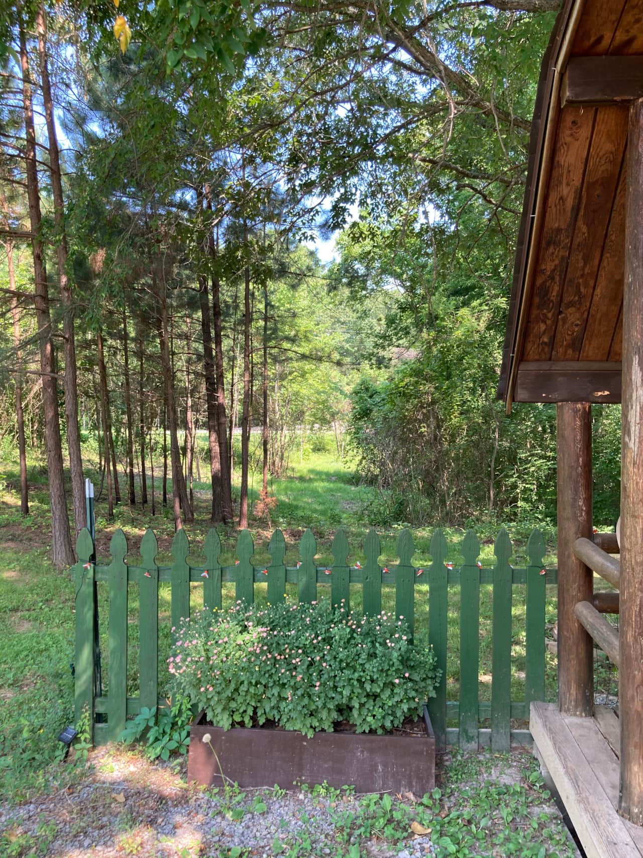 IMG 0979