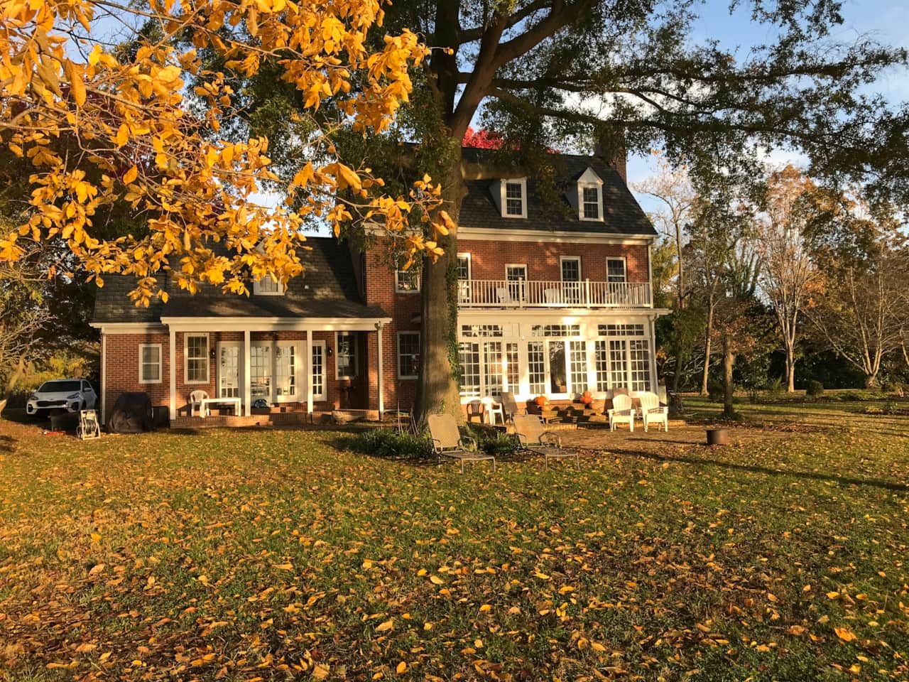 Backyard in the fall