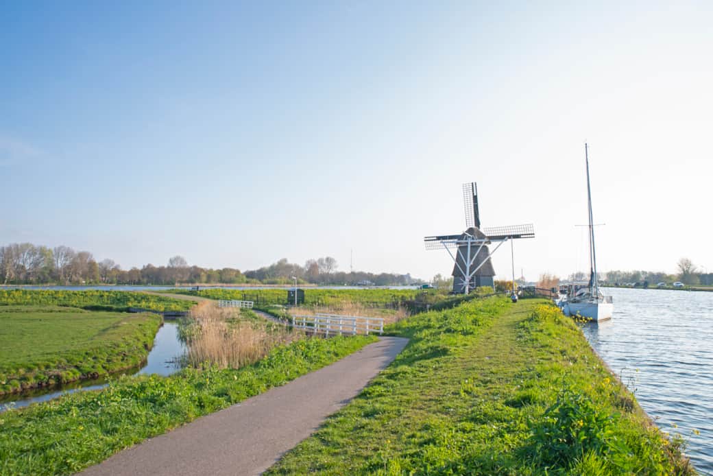 Windmill across the street
