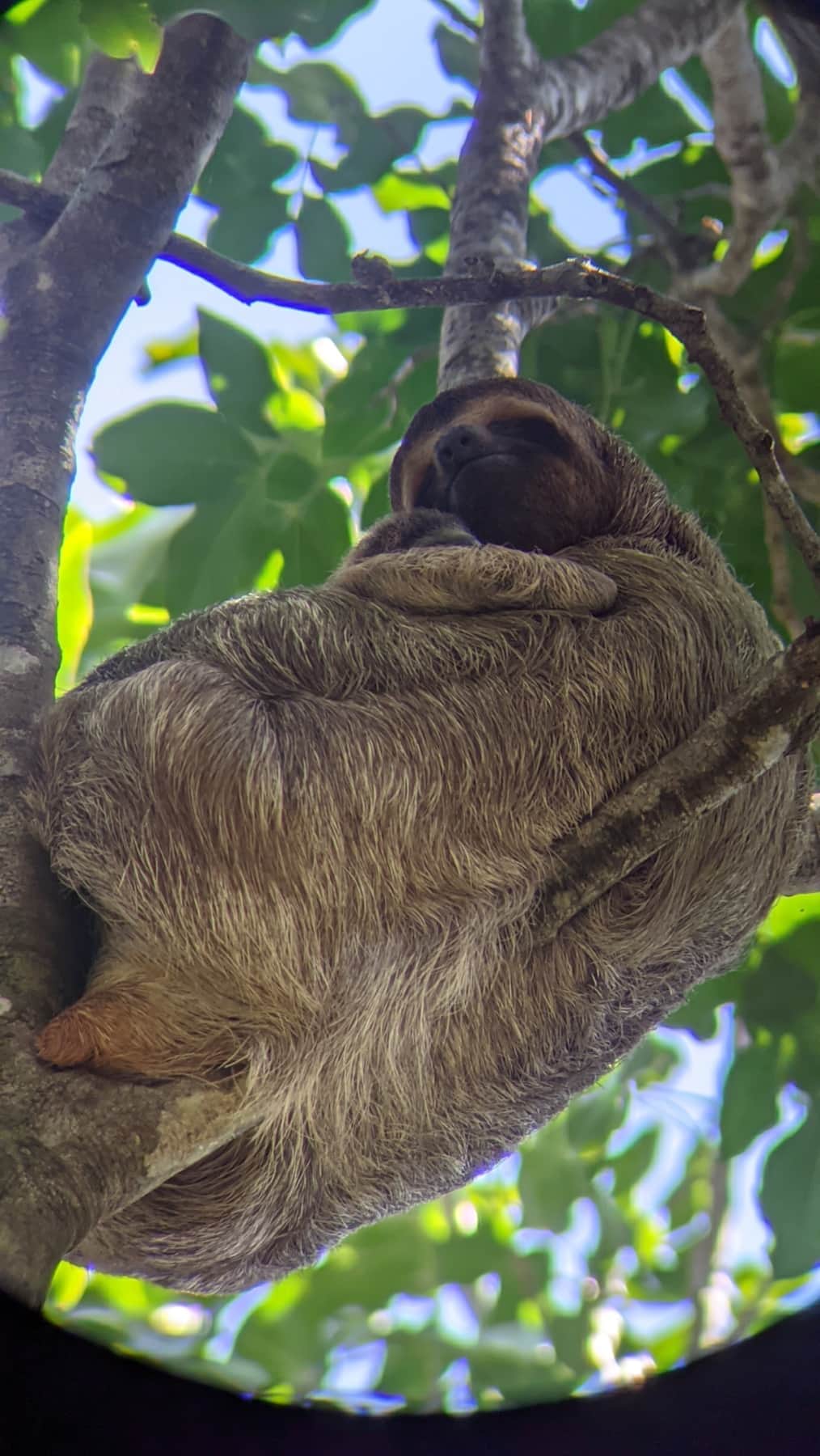 Manuel Antonio National Park