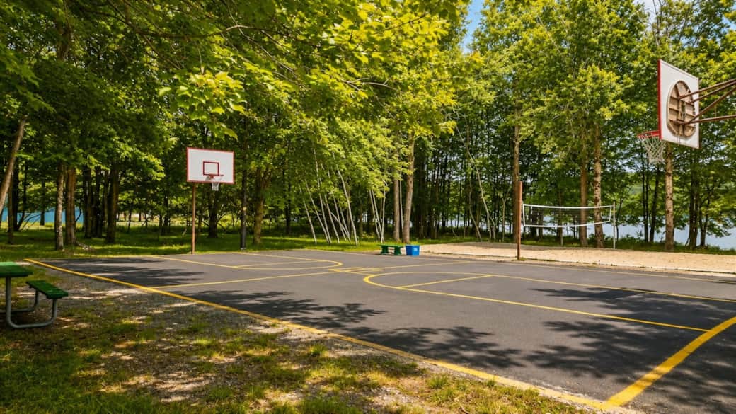 Community basketball & sport court.