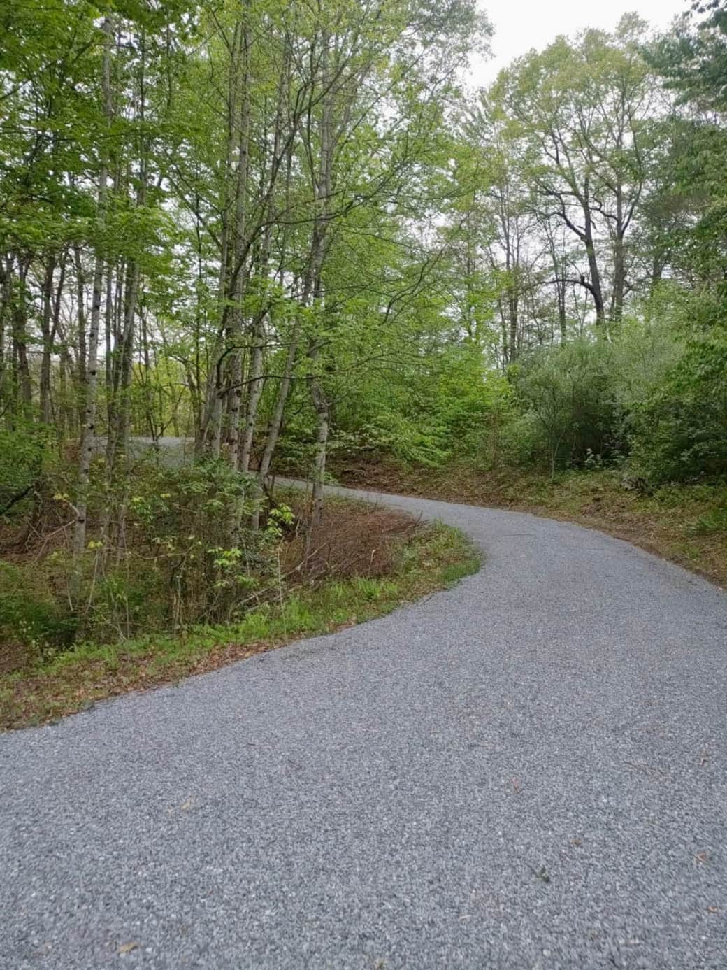 Long driveway!