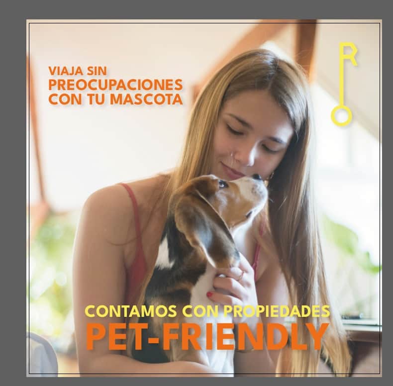 Accommodation in Medellin that allows pets