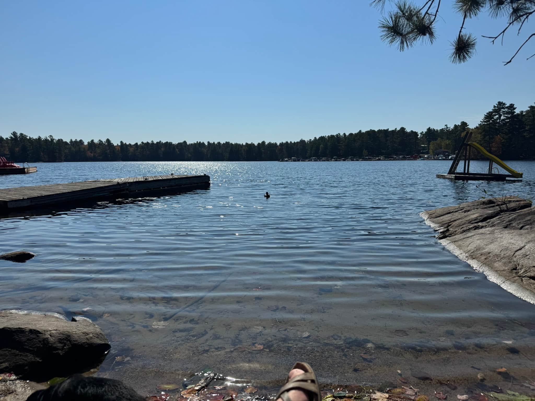 water1.JPEG