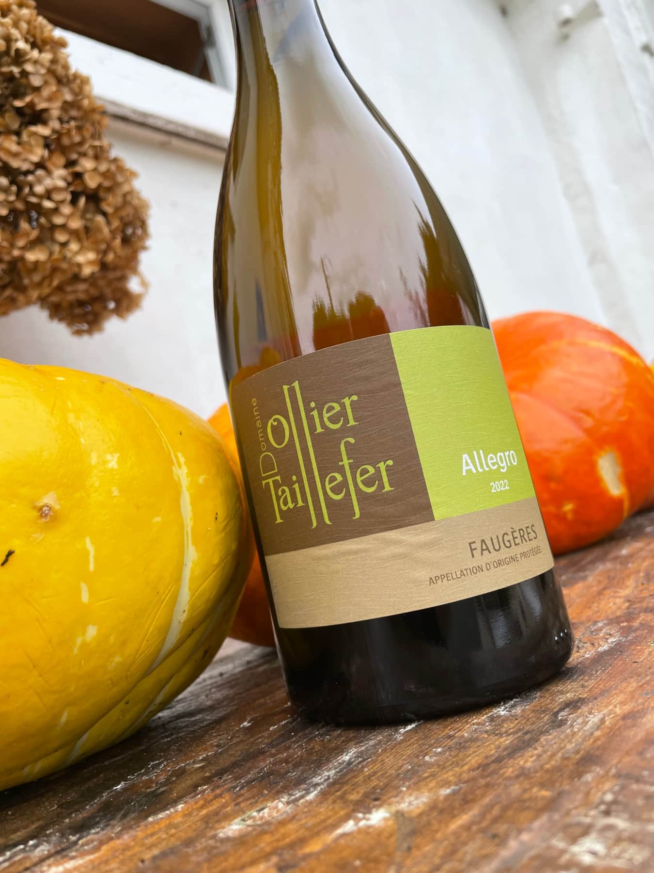 Languedoc Dom. O Taillefer Allegro