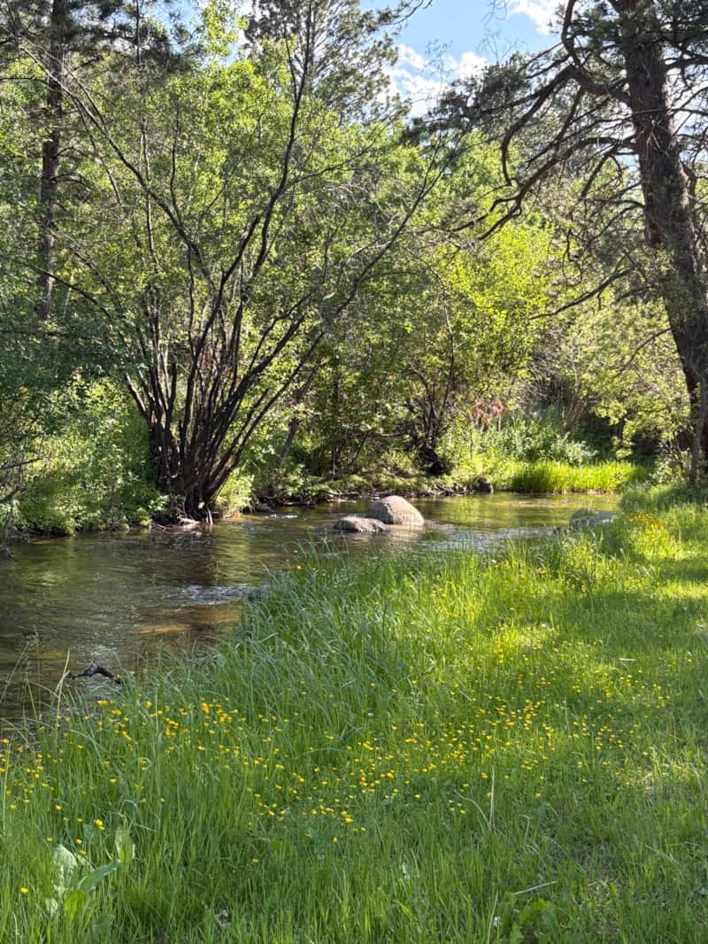 Creek 2 Creek 2