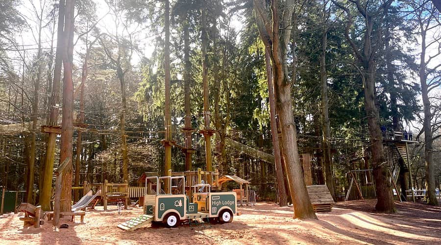 High Lodge in Thetford Forest