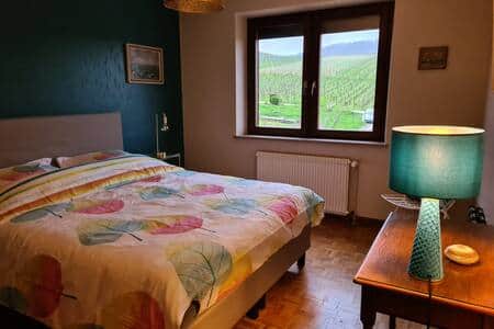 Room n°2 with view of the Haut Koenigsbourg castle (North)
